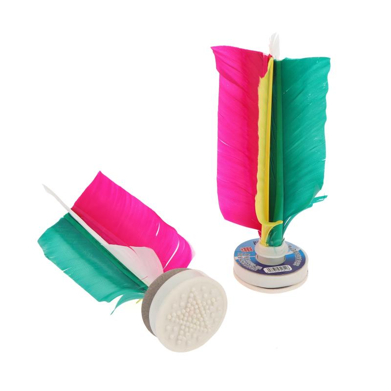 Feather Shuttlecock - Nieuwe 6 Stuks Game Shuttle Training