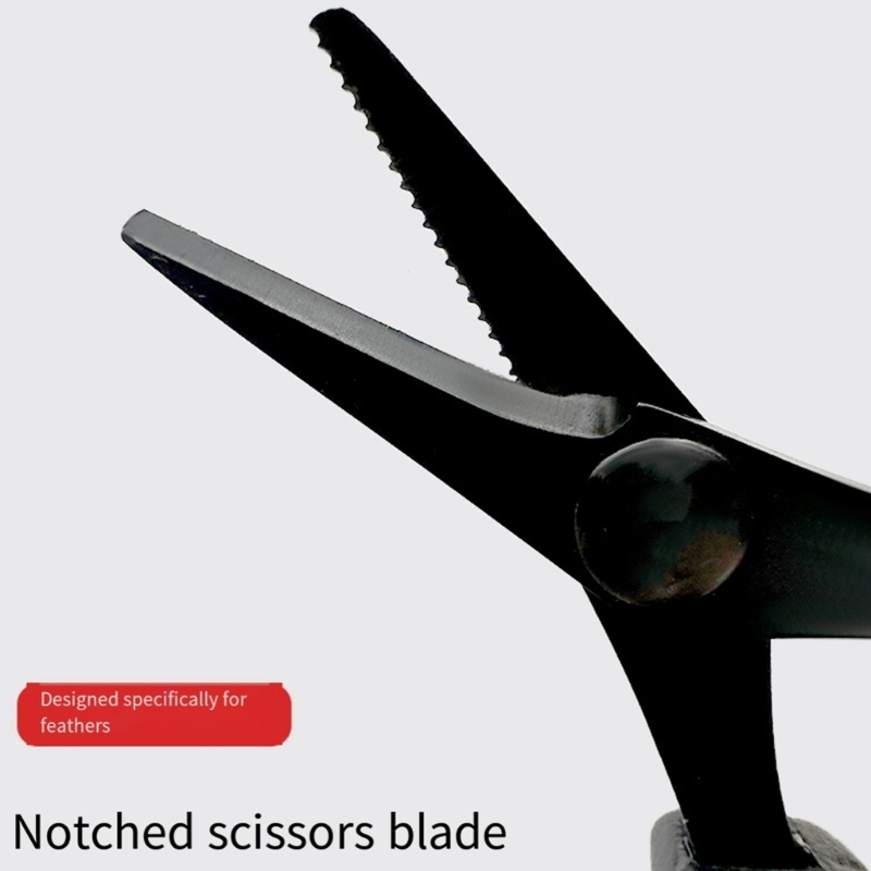 Q39E Ergonomische badmintonnet - Badminton Net recensie en prijs