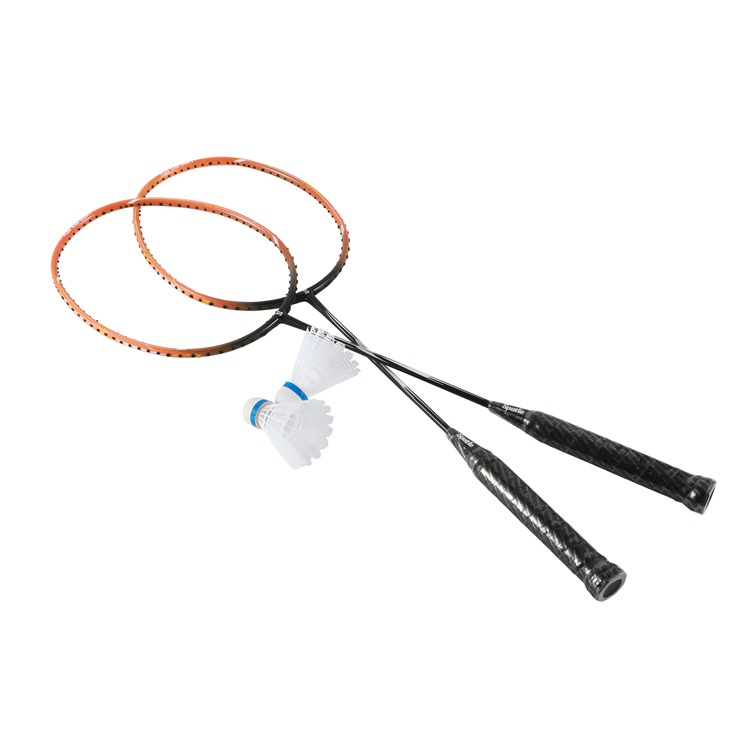 Badmintonracket van koolstofve - Badminton Racket Carbon recensie en prijs